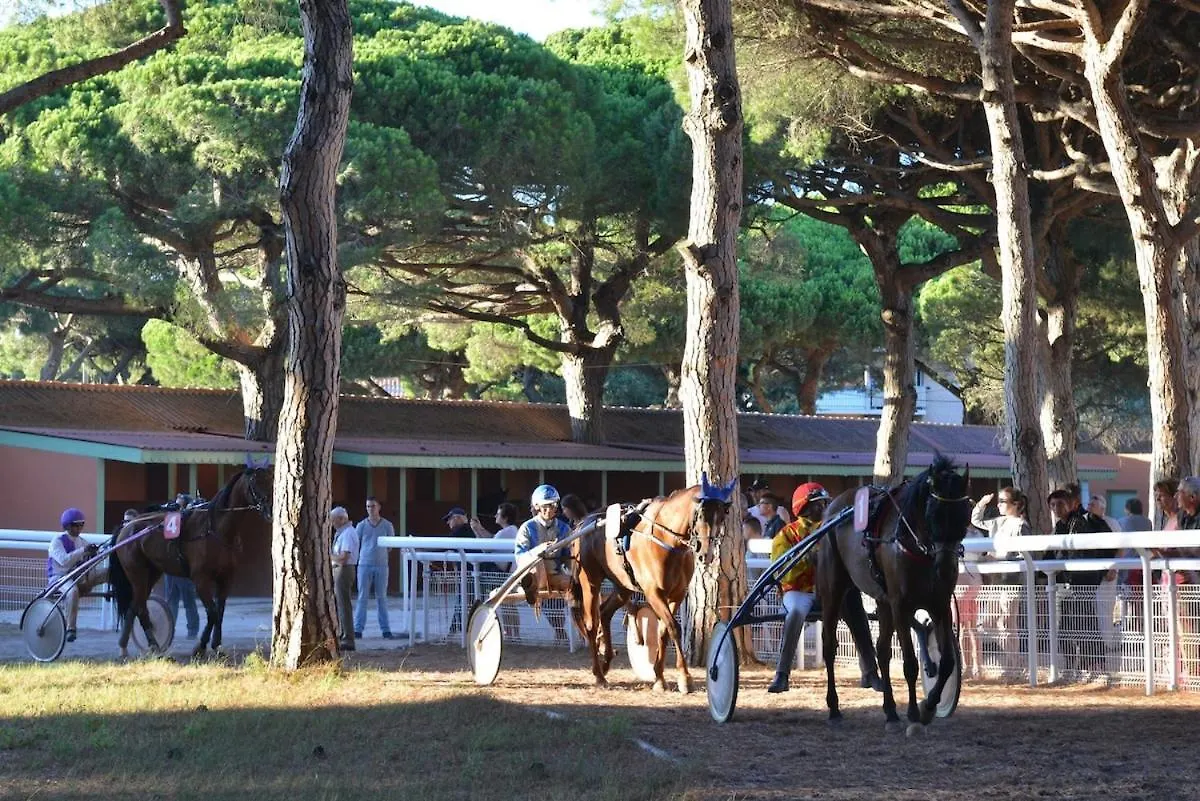 Studio 4 Personnes Sur La Presqu'Ile De Giens Avec Piscine Et Acces Direct Sur La Plage Hyères